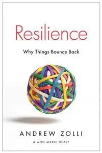 Resilience : why things bounce back